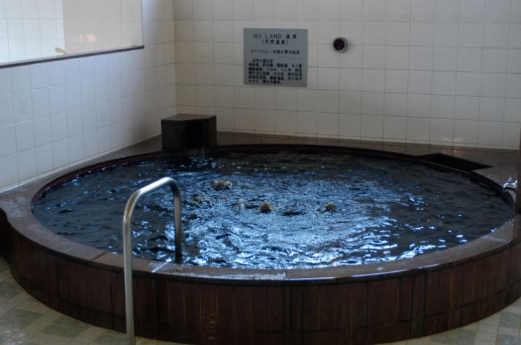 蒲田の銭湯で黒湯体験！天然温泉ヌーランド さがみ湯でリラックス！