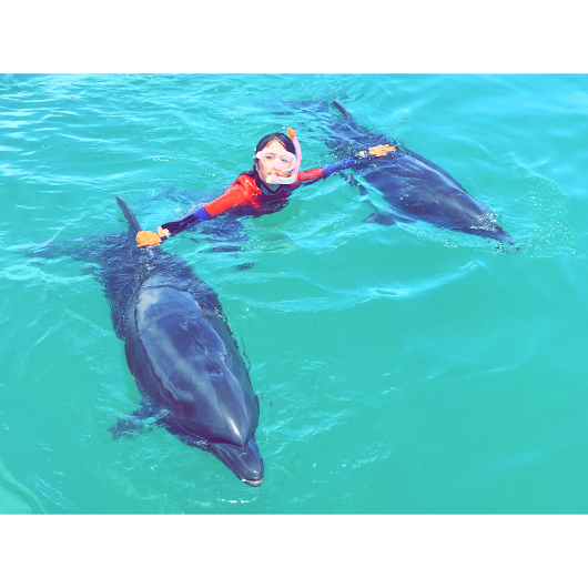 沖縄・石垣島でイルカやウミガメ、マンタと泳いできました！一生忘れない思い出に！