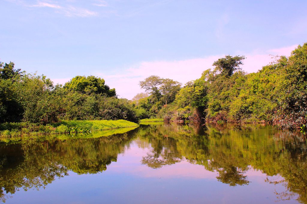 パラグアイで行くべき人気観光名所おすすめ４選！遺跡や自然を堪能する旅！