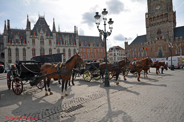 ベルギー馬車の町ブルージュで観光するべき見どころ＆おすすめレストラン７選