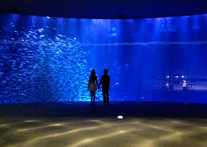 迫力ある海の世界へ！名古屋港水族館でベルーガに会える♡