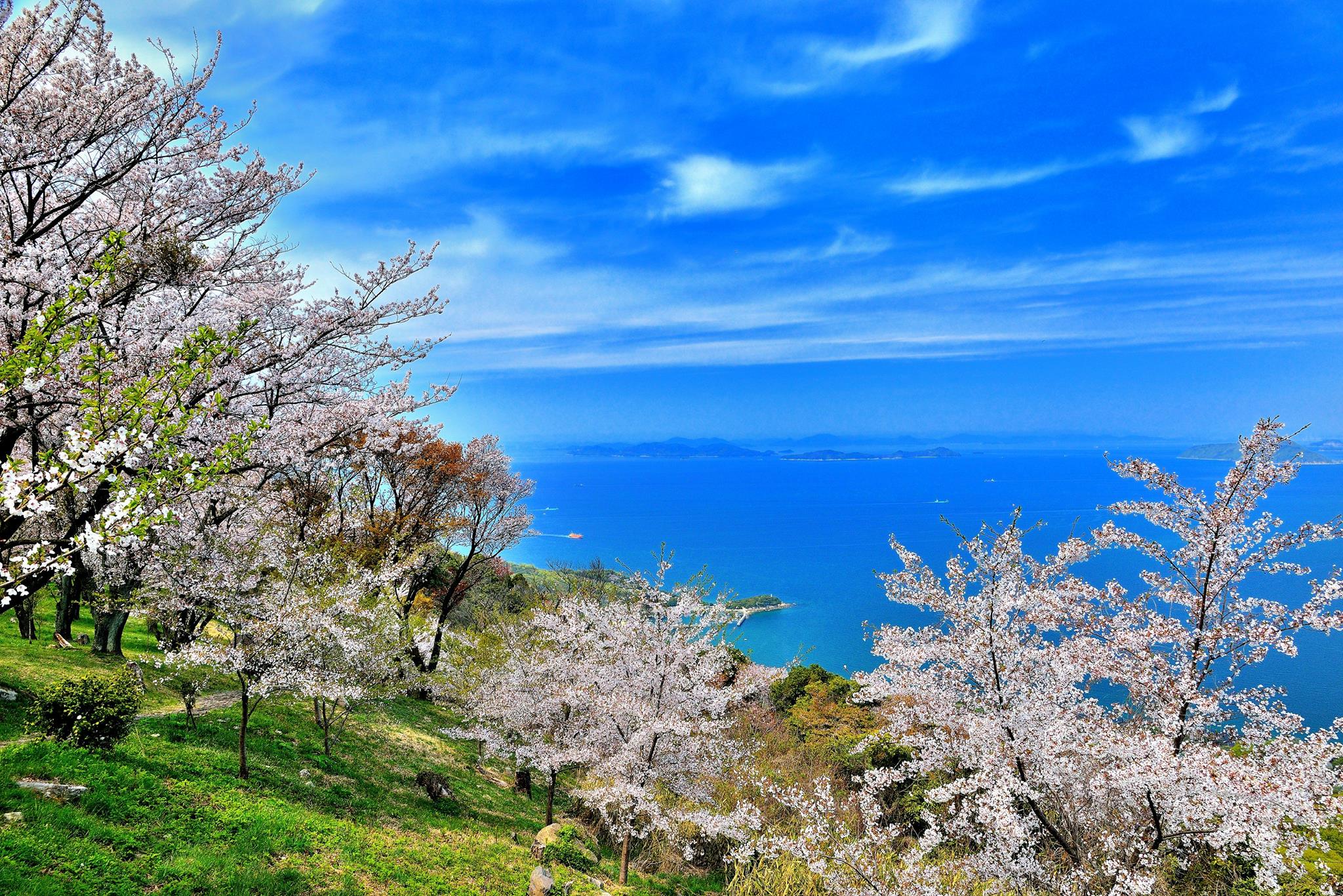 まるで桃源郷！香川の浦島太郎伝説の山、紫雲出山の見どころ6スポット