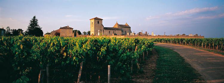フランス・ボルドーワインの名産地サン・テミリオン！世界遺産のブドウ畑をトロッコツアーで見学