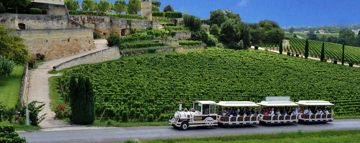 フランス・ボルドーワインの名産地サン・テミリオン！世界遺産のブドウ畑をトロッコツアーで見学