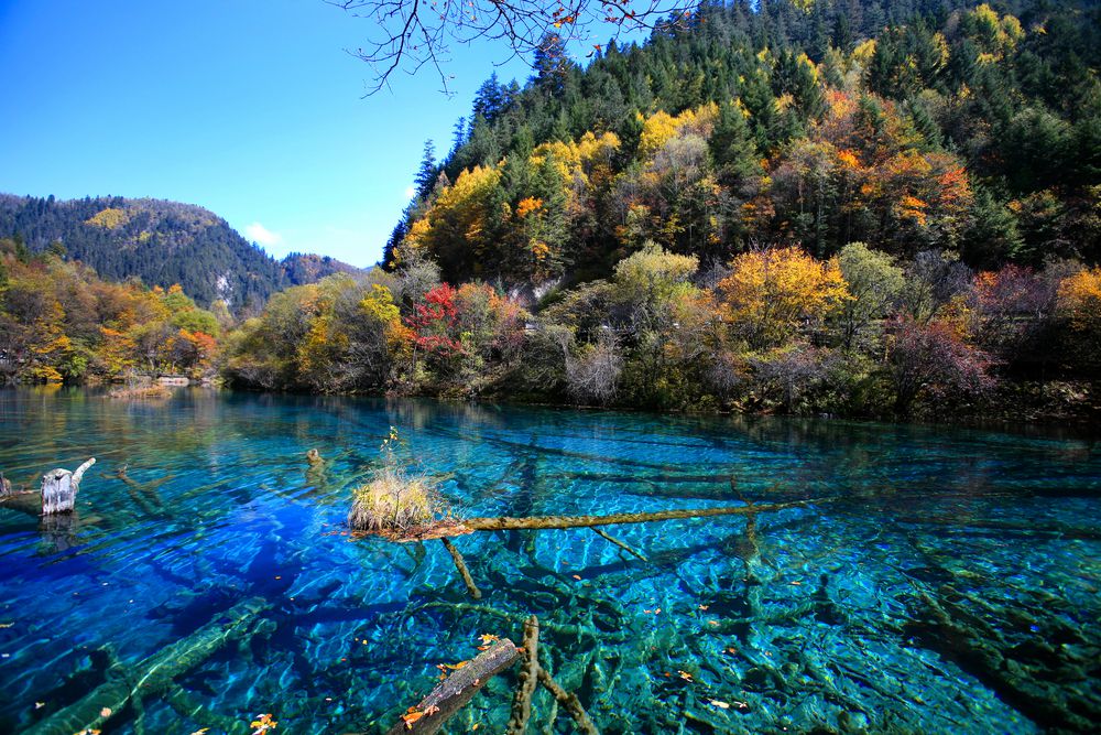 魔法の鏡のかけらの湖―中国・九寨溝の渓谷―