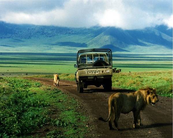 ツアーで行きたいタンザニア・ンゴロンゴロって？人類発祥の地の巨大な穴へ！