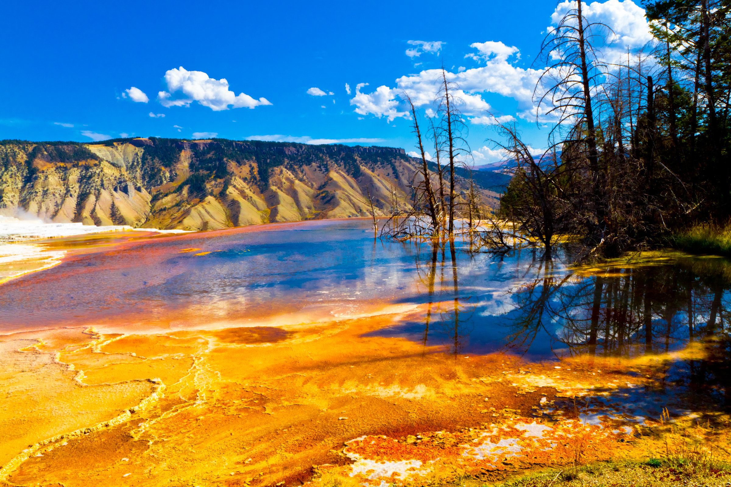 火山活動が生み出した奇跡―アメリカ・イエローストーン国立公園―