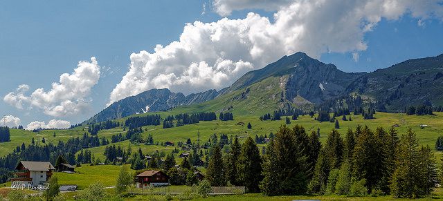 スイス旅行で体験したい絶品スイスチーズ5選！豊かな自然の恵みが凝縮された名品の魅力に迫る