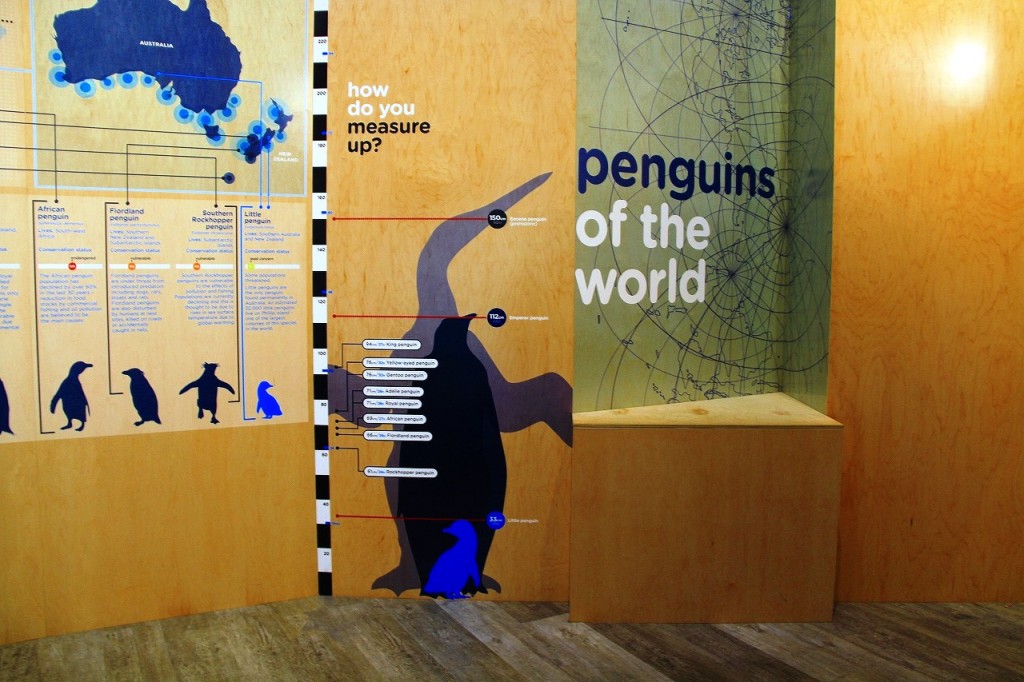 オーストラリア・フィリップ島自然公園で野生リトルペンギンに会おう！メルボルンから車で２時間！