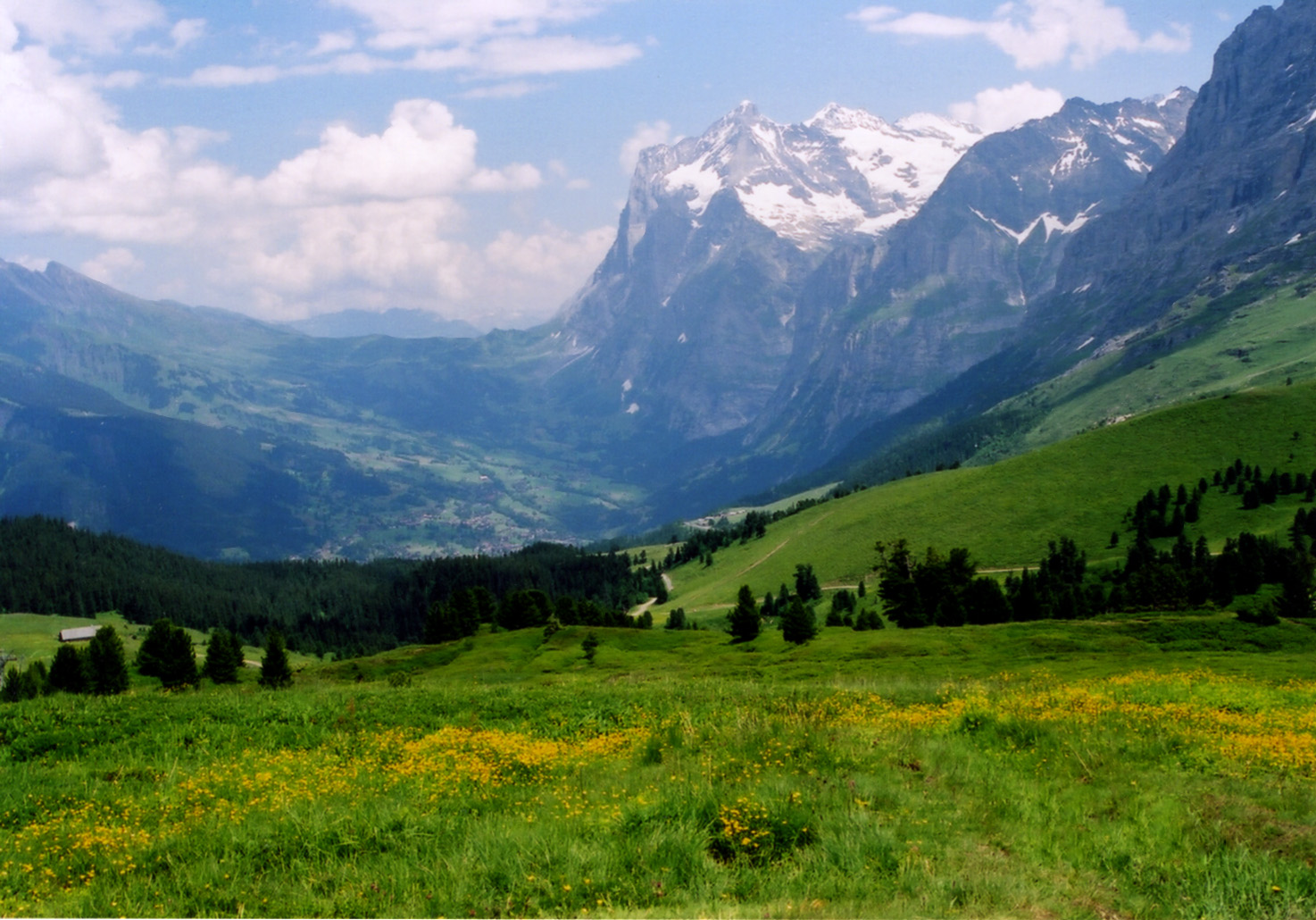 スイスに旅行なら！ハイキングでアルプスの少女ハイジの世界観を味わおう！