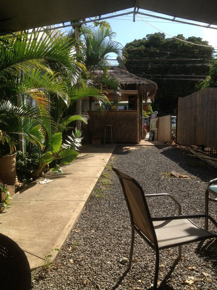 ハワイ・オアフ島ノースシェア「Haleiwa Bowls」！本場でアサイーボウル体験