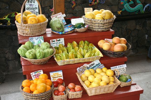 ハワイ・オアフ島ノースシェア「Haleiwa Bowls」！本場でアサイーボウル体験