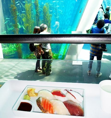 福島の水族館「アクアマリンふくしま」！全滅から復活した奇跡の水族館に行こう