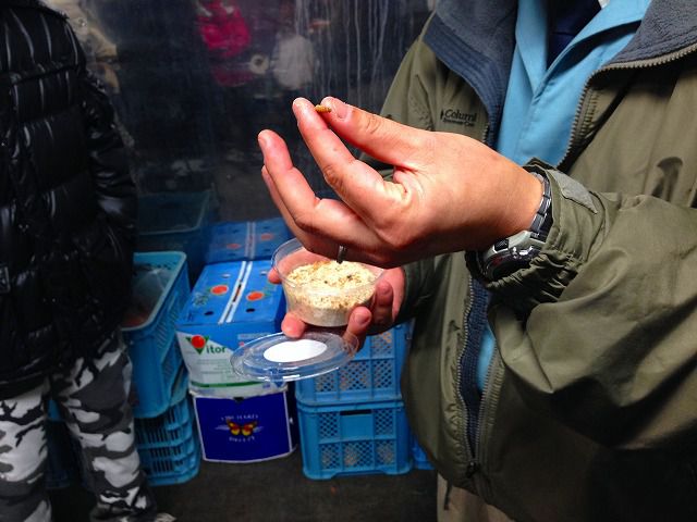 札幌市円山動物園はホッキョクグマの繁殖が有名！無料の体験イベントも！