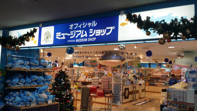 【大阪府・海遊館】世界第5位のメガ水槽とその見どころ
