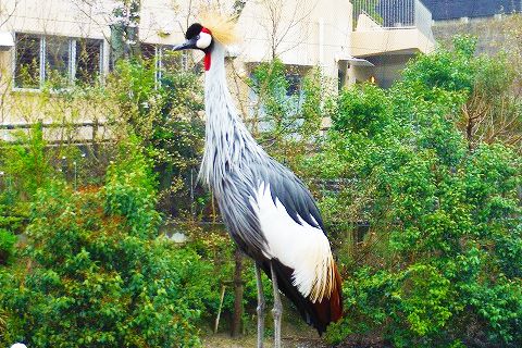 静岡・日本平動物園の展示工夫が斬新で楽しい！日本一長いスロースライダーも！