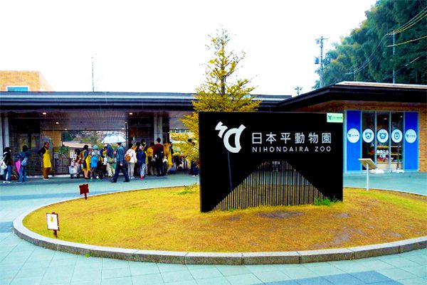 静岡・日本平動物園の展示工夫が斬新で楽しい！日本一長いスロースライダーも！