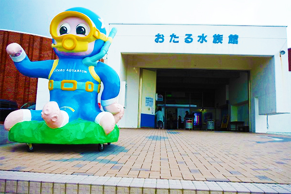 北海道小樽「おたる水族館」イルカスタジアム＆海獣公園がすごい！子連れ旅行におすすめ！