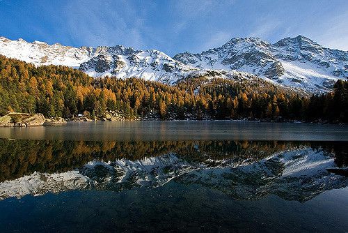 スイス美観地区をベルニナ急行で駆け抜けよう！見どころ満載スイス鉄道の旅