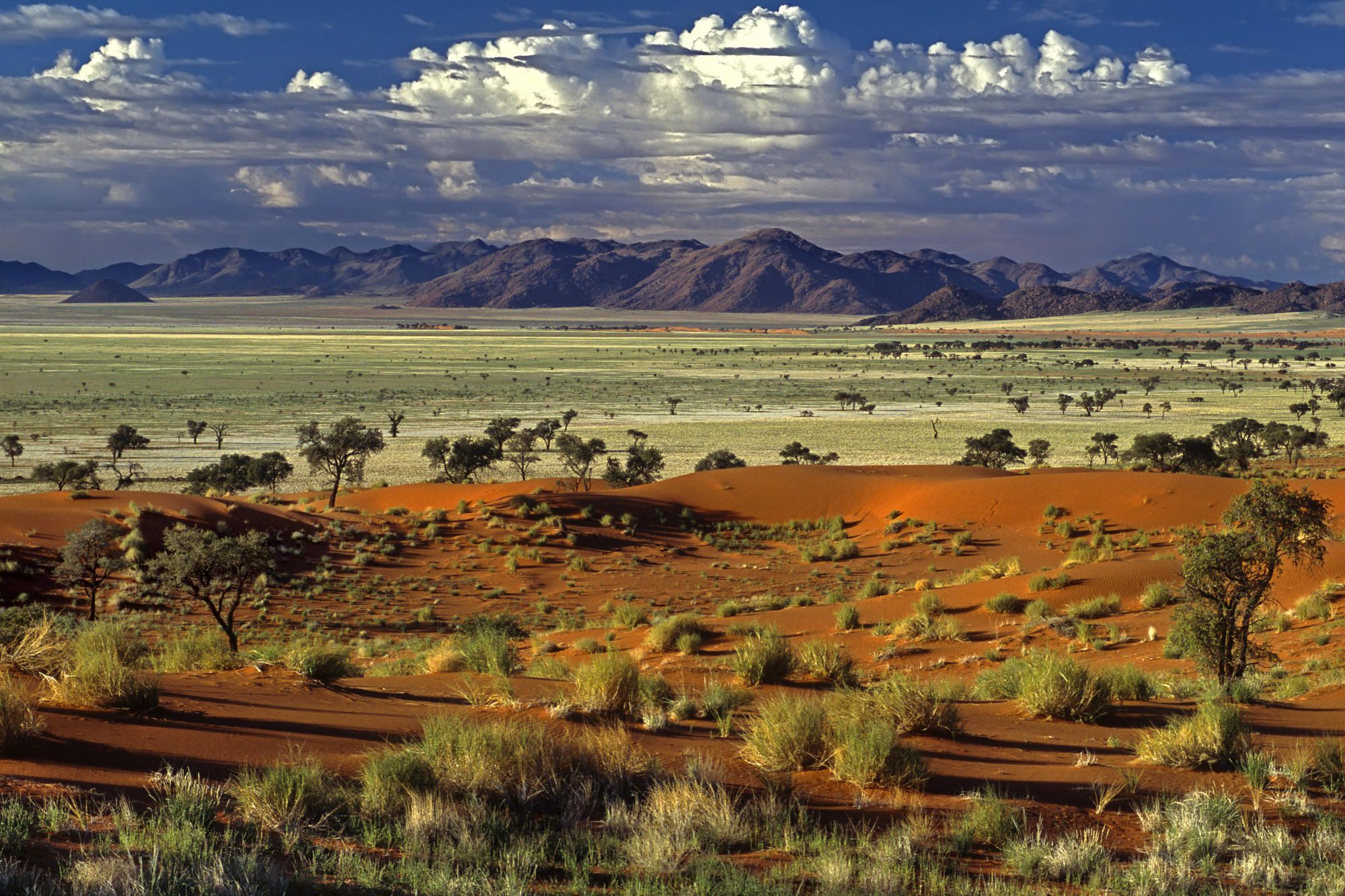 南アフリカ・ナミビアで絶対行くべき人気観光都市まとめ☆ナミブ砂漠以外にも見どころ満載！