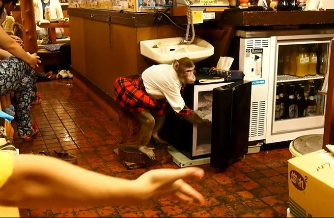 かわいい猿がおもてなし！？栃木の有名店「居酒屋かやぶき」