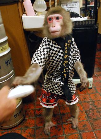かわいい猿がおもてなし！？栃木の有名店「居酒屋かやぶき」