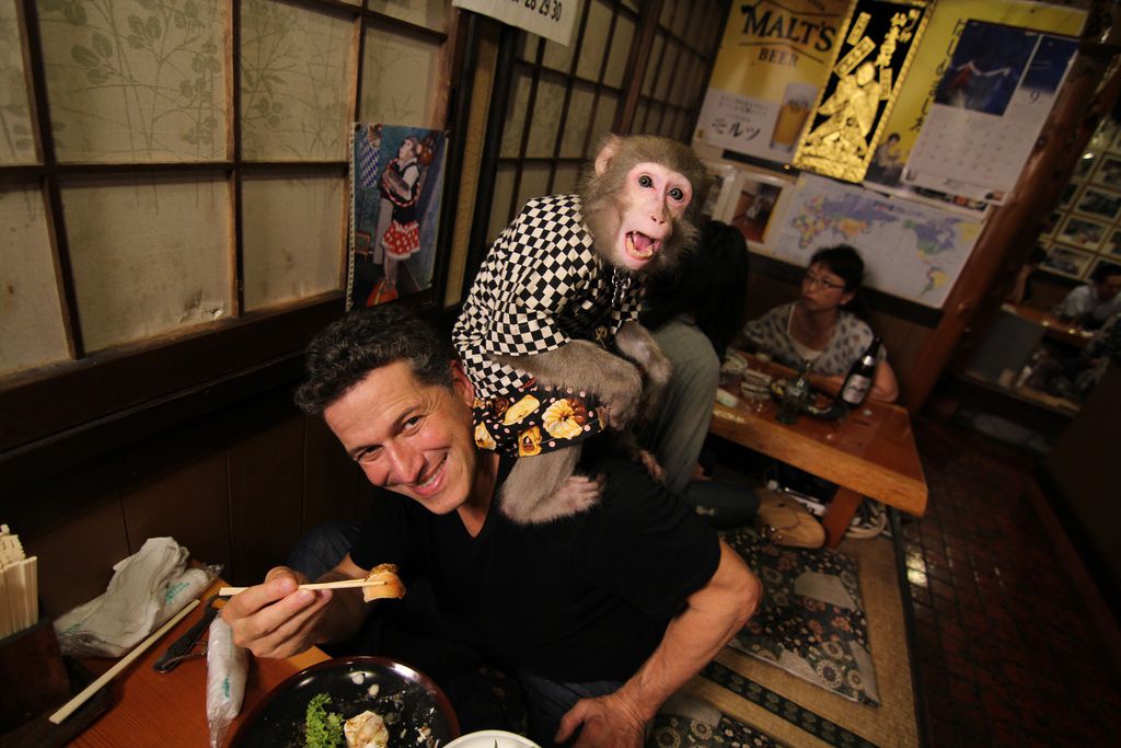 かわいい猿がおもてなし！？栃木の有名店「居酒屋かやぶき」