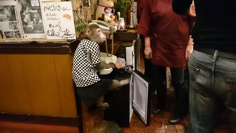 かわいい猿がおもてなし！？栃木の有名店「居酒屋かやぶき」