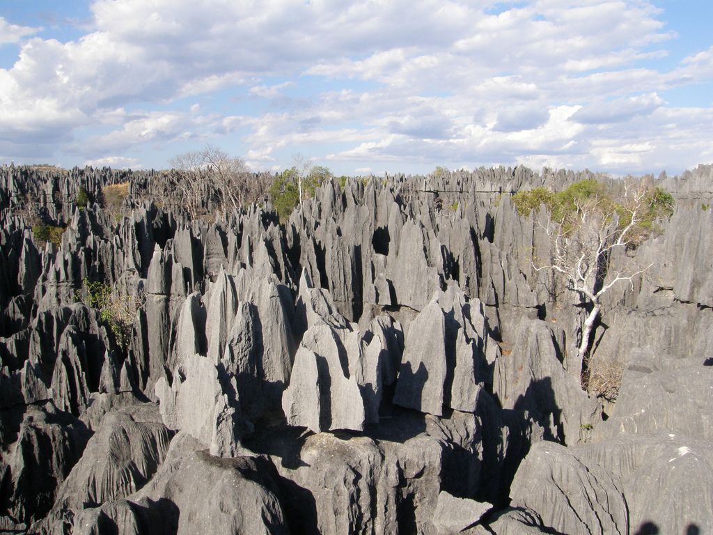 マダガスカルの秘境！ツィンギ・ド・ベマラハ厳正自然保護区