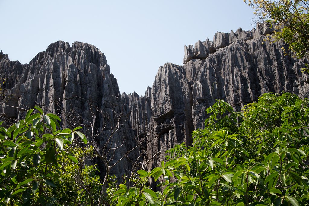 マダガスカルの秘境！ツィンギ・ド・ベマラハ厳正自然保護区