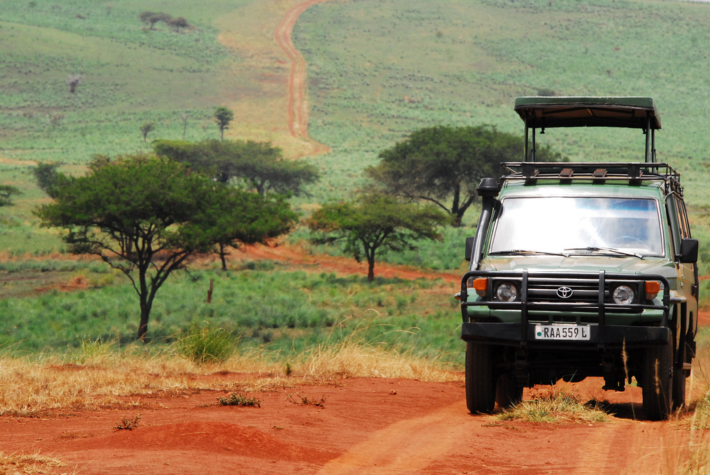 ルワンダの首都キガリで行くべき観光スポット５選！サファリにおすすめグルメも！