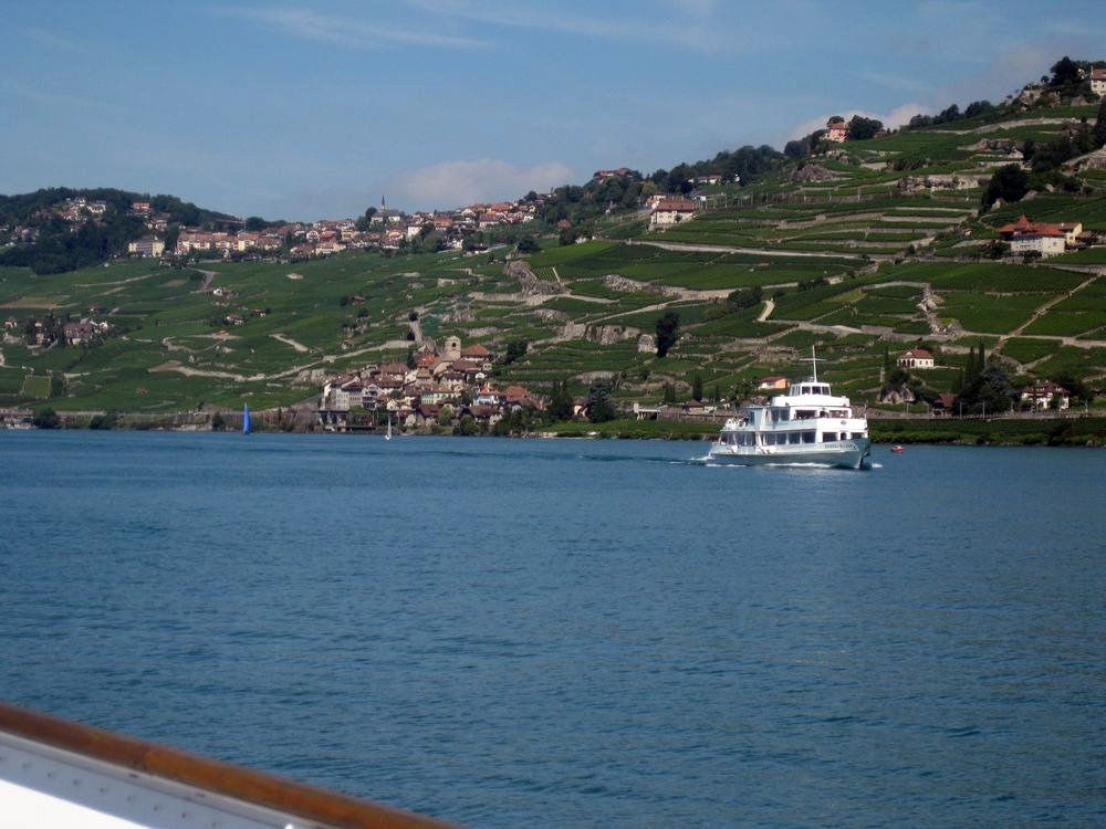 スイス世界遺産ラヴォー地区で人気の葡萄畑とおすすめ絶品ワイン徹底ガイド