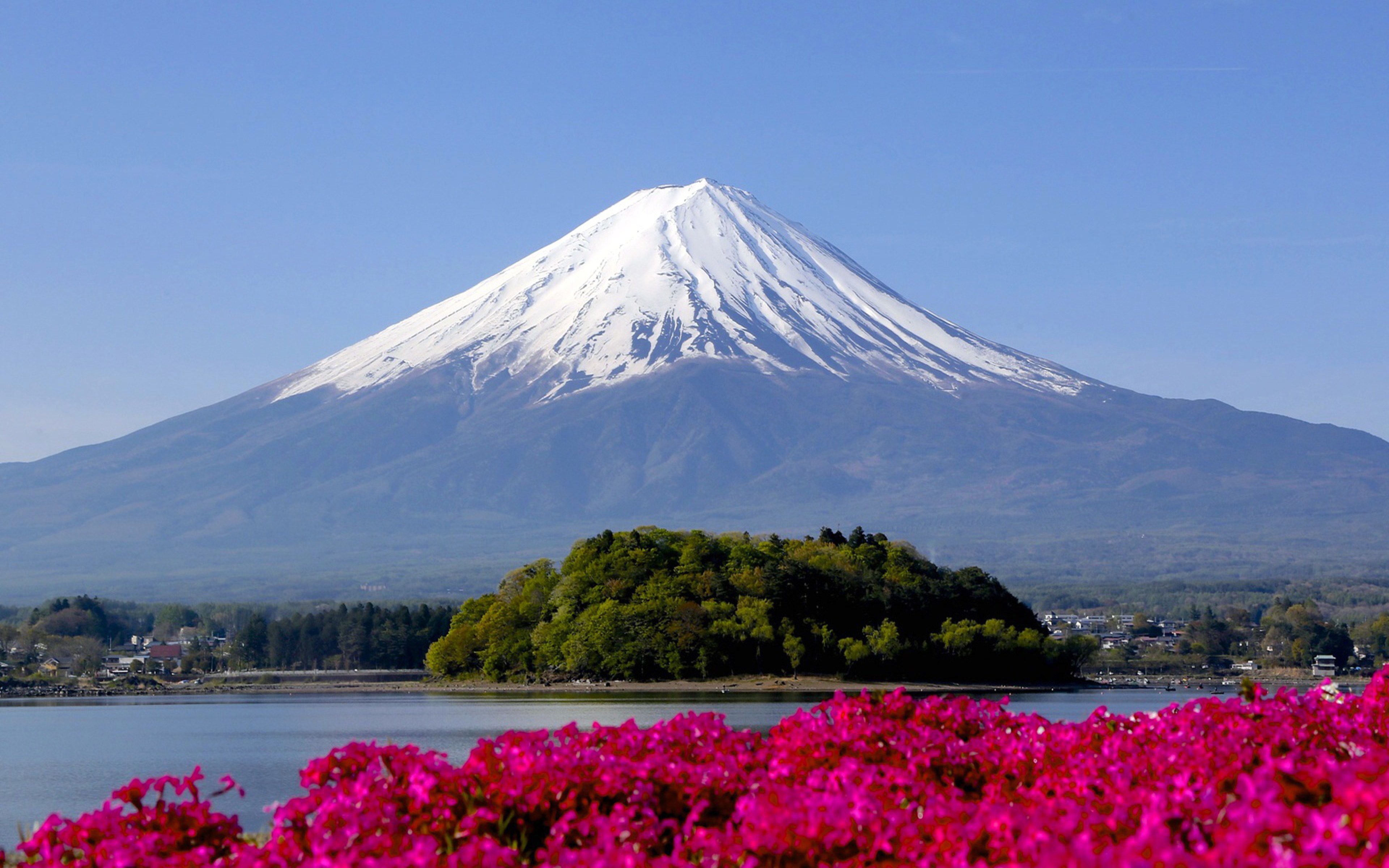 日本国内の世界遺産５選！文化遺産から自然遺産まで世界に誇るスポットに急げ！