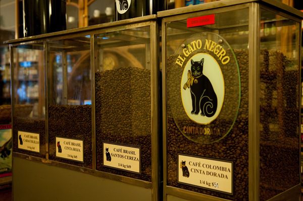 アルゼンチン・ブエノスアイレス市内の人気老舗カフェおすすめ３選！おいしいランチに絶品コーヒーも