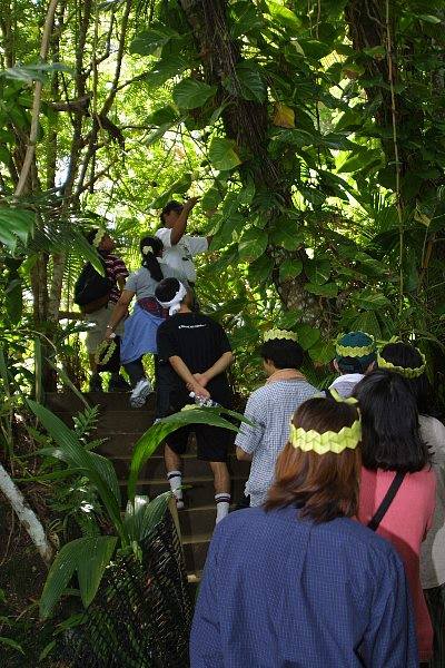 グアム観光スポット総まとめ！ジャングル冒険から絶景観賞までグアム陸遊びプラン一挙公開