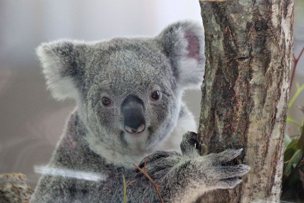 神奈川県横浜市金沢区の観光名所徹底ガイド！動物園、水族館にアウトレット･･･魅力満載隠れ家的スポット