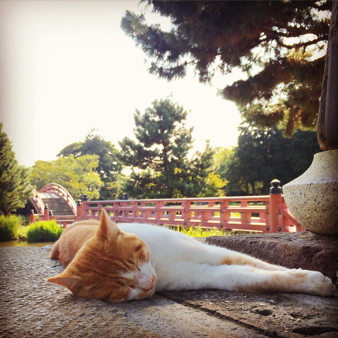 神奈川県横浜市金沢区の観光名所徹底ガイド！動物園、水族館にアウトレット･･･魅力満載隠れ家的スポット