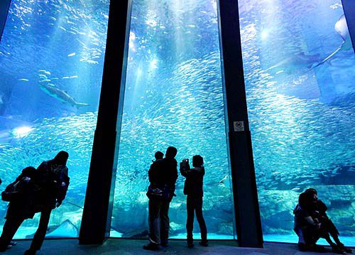 神奈川県横浜市金沢区の観光名所徹底ガイド！動物園、水族館にアウトレット･･･魅力満載隠れ家的スポット