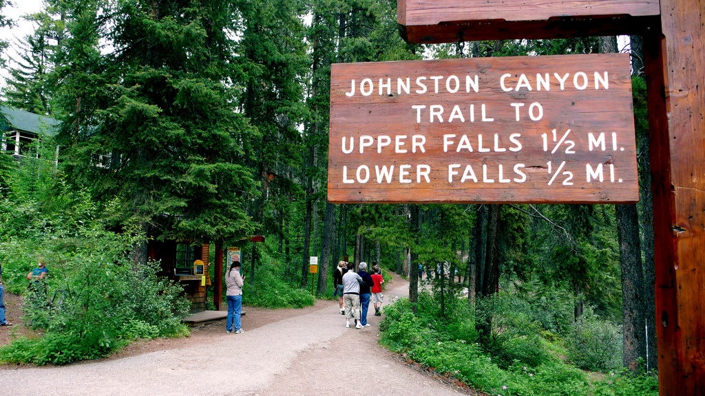 カナダバンフ国立公園でおすすめの人気トレッキングコース！気軽に絶景が望める初心者コース
