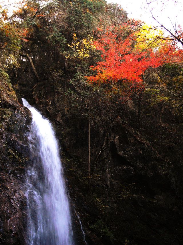 東京都屈指のパワースポット！檜原村の「払沢の滝」が素晴らしい