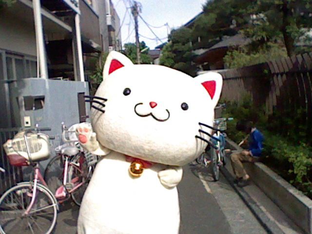 東京・世田谷区豪徳寺のイメージキャラクター「たまにゃん」と招き猫発祥の地を街歩き！