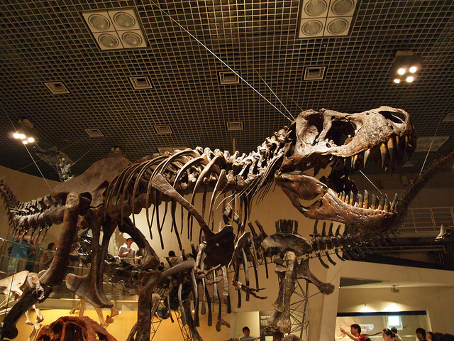 上野・国立科学博物館で恐竜時代へタイムスリップ！子連れで楽しめるイベントも！