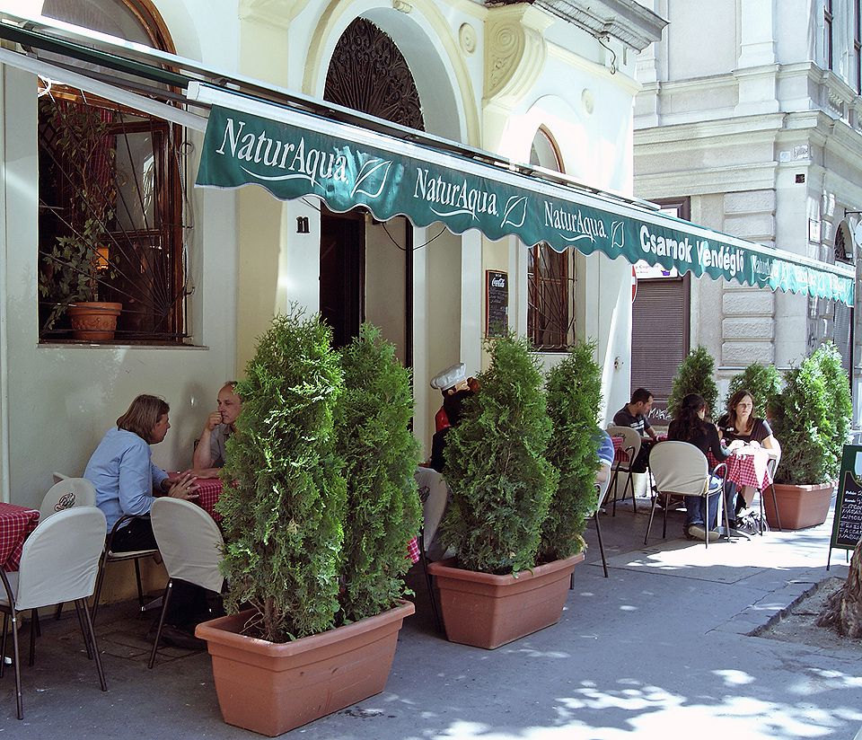 食事に悩んだらココ！美食の街ブダペストのレストラン6選