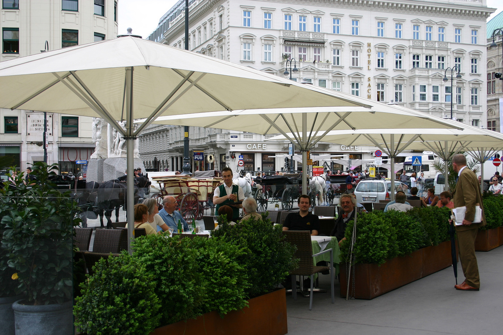 オーストリア・伝統ウィーン料理おすすめレストラン３選！味もロケーションも最高！