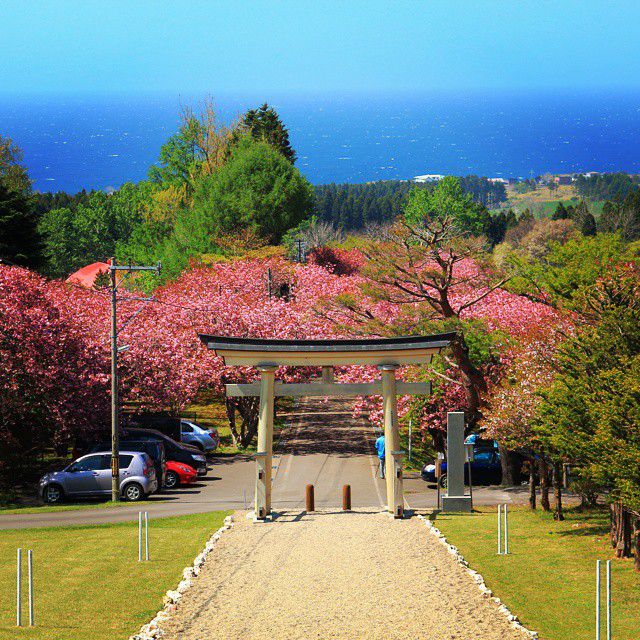 北海道旅行函館・北斗市お花見スポット5選！北海道新幹線で行く春・GWにぴったりのお出かけ先