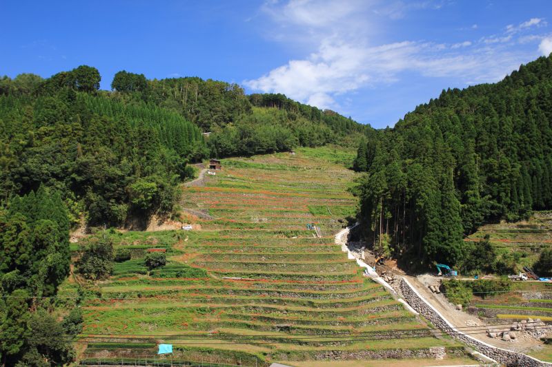 九州・福岡旅行で観たい棚田の絶景5選！朱の鮮やかな美を感じよう