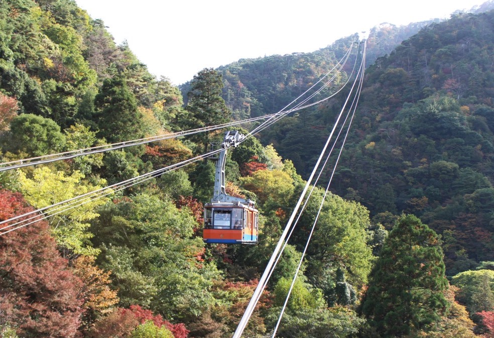 神戸でおすすめのトレッキングコース！神戸六甲山～有馬温泉の絶景を楽しもう！