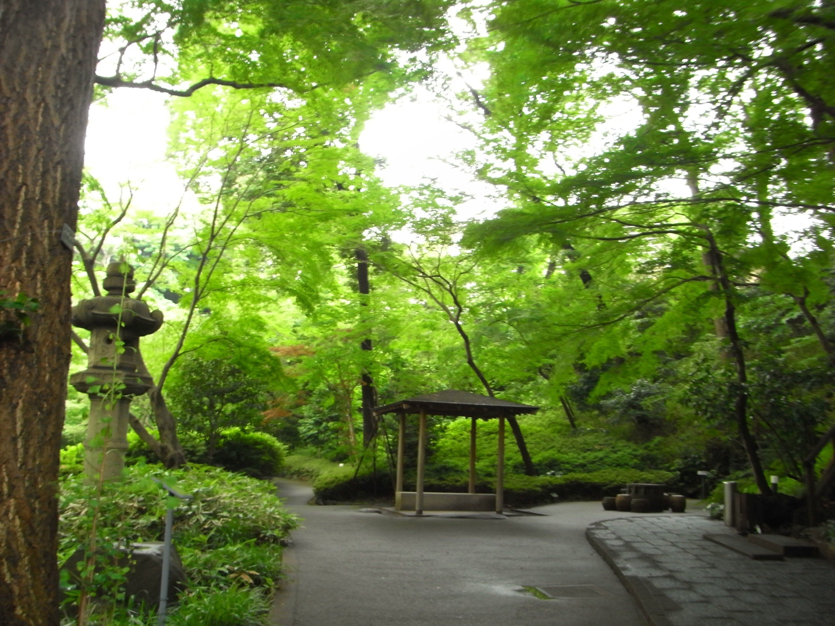 東京都内ステイでおすすめの庭自慢ホテル４選！四季折々の変化にココロ癒される時間を求めて