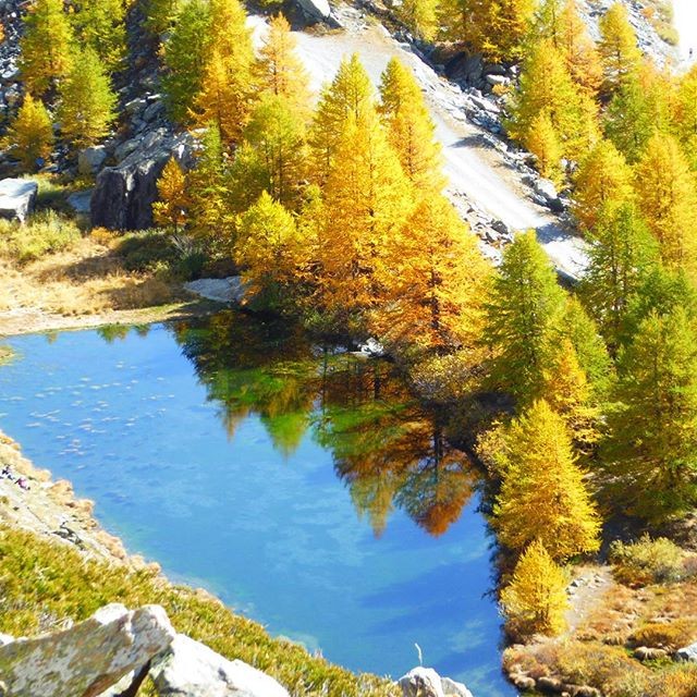 スイスで人気のトレッキングルート＆美しい湖５選！アルプスの少女ハイジのような絶景！