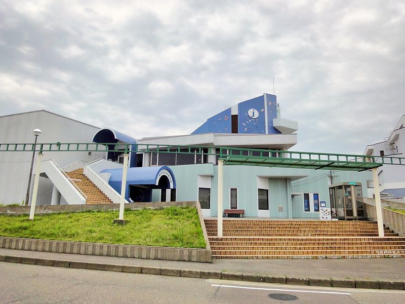 新潟にある人気の上越市立水族博物館まとめ